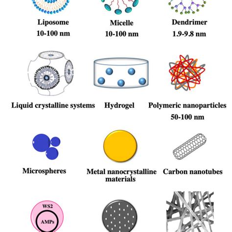 Schematic Representation Of The 12 Nanocarriers Used In Drug Delivery