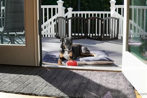 Gutfuzz Nude OnlyFans Leaks The Fappening Photo 6516483 FappeningBook