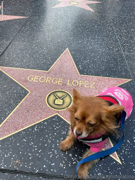 Laughinglatina Nude OnlyFans Leaks Fappening FappeningBook