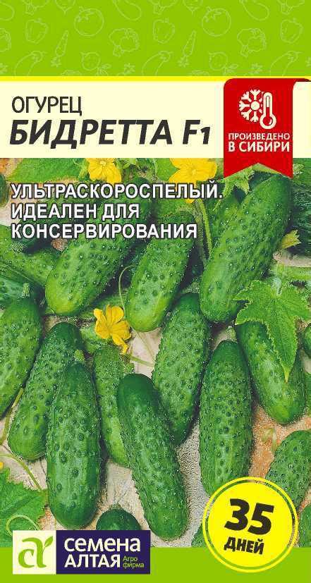 Огурец Бидретта F1