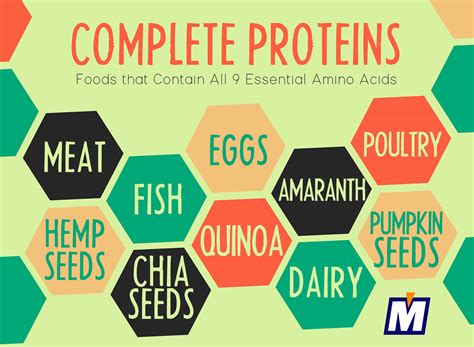 Is Protein Essential at Mazie Reed blog