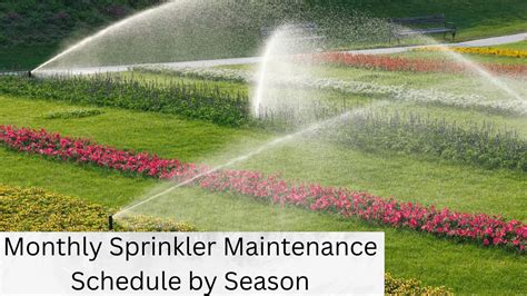 monthly sprinkler maintenance guide year  tips   healthy lawn