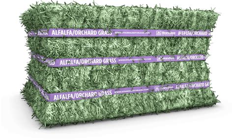 Premium Alfalfa Orchard Grass Compressed Bale Standlee Forage