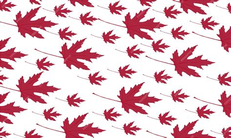 premium vector autumn leaf pattern design vector