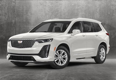 exploring options  auto finance  palm beach