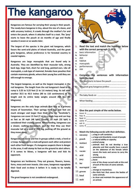 The Kangaroo Reading Questions Key Esl Worksheet By Karagozian