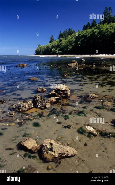 Strait Of Juan De Fuca Shoreline Shipwreck Point Natural Area Preserve