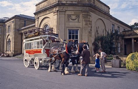 Bicentenary Bliss: Celebrating 200 Years of Britain's Iconic Bus