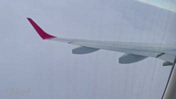 Sega e pompino molto sciatti in aereo così rischiosi in pubblico XVIDEOS