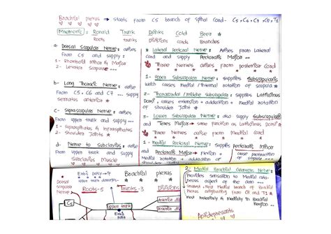 Solution Nerves Of Upper Limb And Brachialplexus Mbbs 1st Year Notes