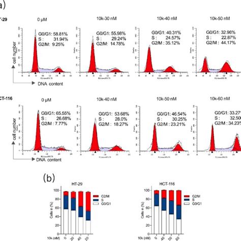 Effects Of K On Cell Cycle Arrest On Ht And Hct Cell Lines