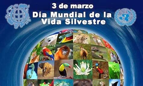 Día Mundial de la Vida Silvestre Conoce las especies de Fauna y Flora