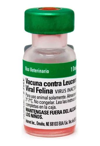 Suplemento Gato Vacuna Nobivac Feline Fel Leucemia Felina Mercadolibre