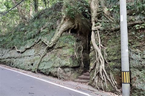 Oshima Tokyos Hidden Island Paradise 7 Must Do Activities