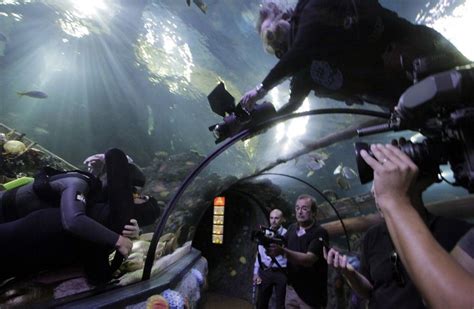 Italian Couple Sets World Record For Longest Underwater Kiss Photos