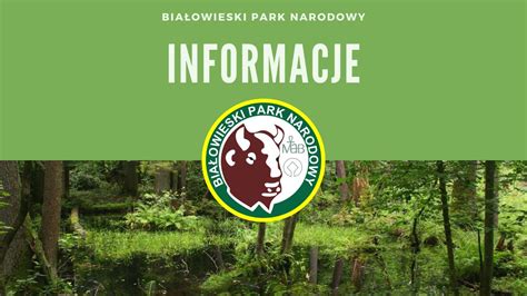 Białowieski Park Narodowy Informacje