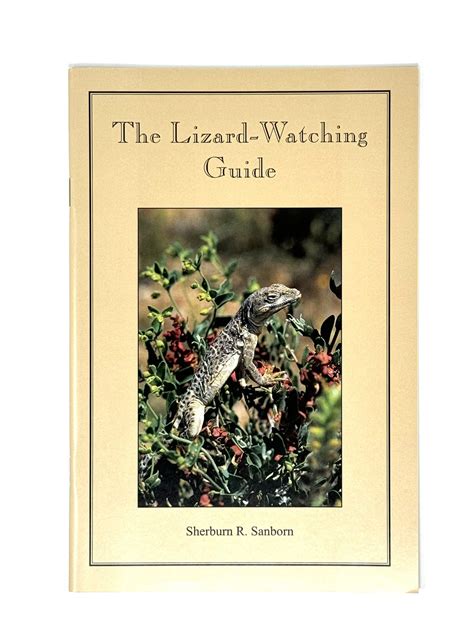 guide to lizard hyperactive cheap 8