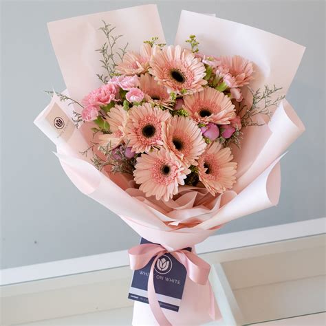 daisy flower gerbera 5