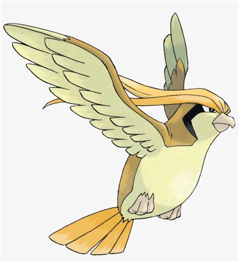 pidgeot shiny pokemon pidgeot  png  pngkit