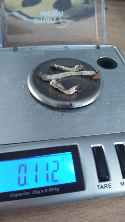 Don't forget to take your vitamins! : r/PsilocybinMushrooms