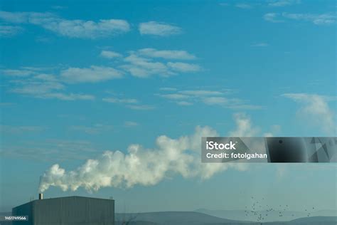 Wind Blowing Pollution Stock Photo Stock Photo - Download Image Now ...