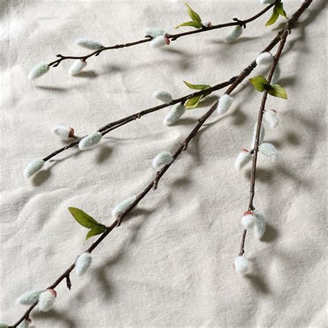 Pussy Willow Stem The Cotswold Company The Cotswold Company