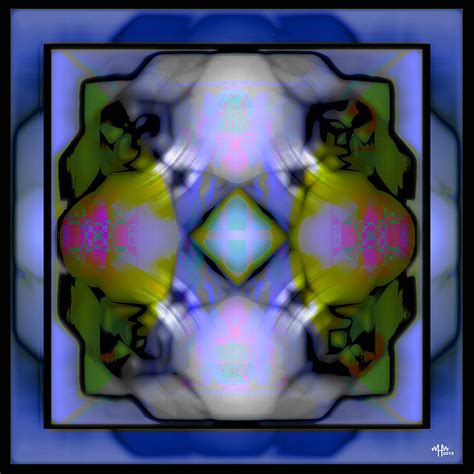 Oo2 Digital Art By Warren Furman Fine Art America