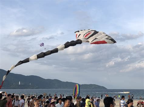 Flashmob bikini khuấy động biển hè Đà Nẵng Báo Dân trí