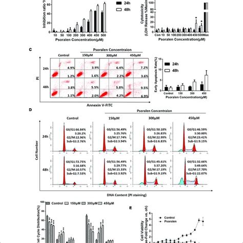 Psoralen Toxicity Increased And Psoralen Aggravated Acute Liver