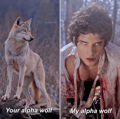 Tyler Posey Alpha Scott Mccall Werewolf Teen Wolf Alpha Girl Alpha Wolf Tyler Posey Scott