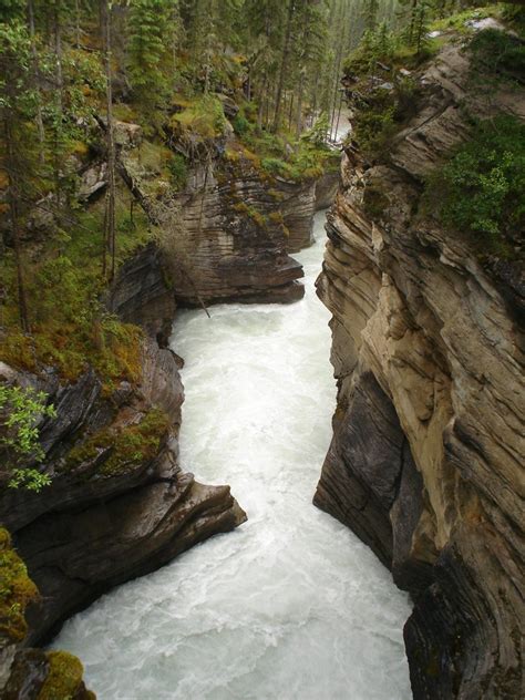 athabasca falls Free Photo Download | FreeImages