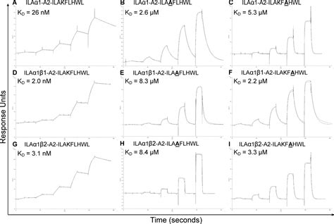 T Cell Receptor Tcr Peptide Specificity Overrides Affinity Enhancing