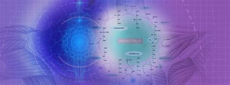 Trochlea - Bio Lexicon