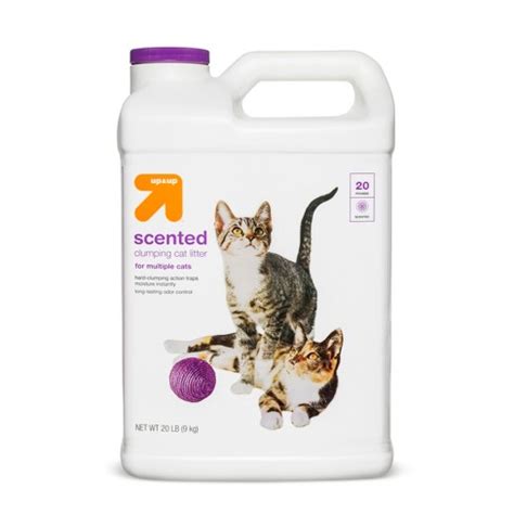 Scented Scoopable Cat Litter - 20lb - Up&Up™ : Target