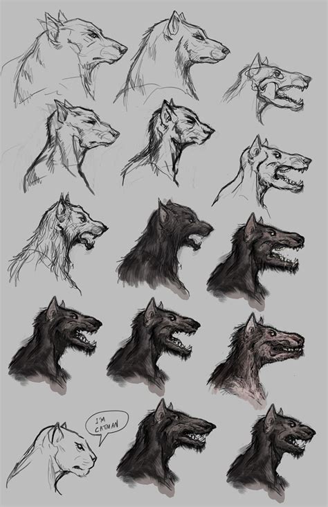 Apocalypse Time Of Judgement Werewolf 3