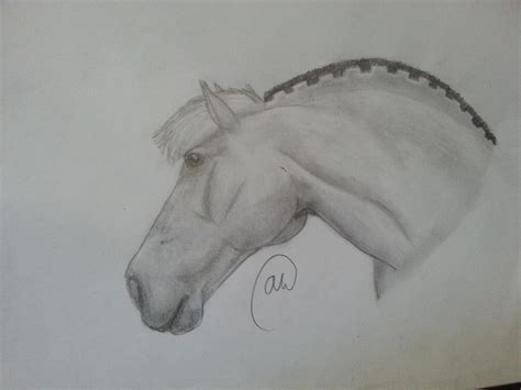 Fjord Drawing By Puzzlepieceequine On Deviantart