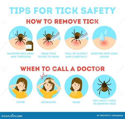 Tips for Tick Safety Infographic. How To Remove Mite Stock Vector ...