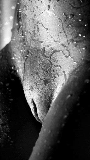 Looks Tasty Porn Pic