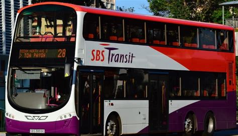 Sbs Transit Singapore Bus Service Bus Route From Tampines Bus