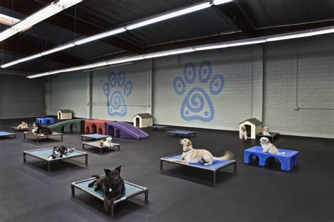 Dog Boarding Canine Retreat Dog Daycare And Boarding