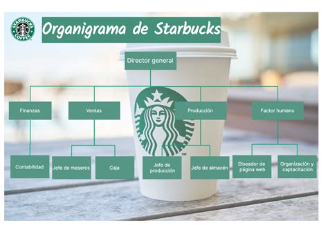 Organigrama De Starbucks Una Cafeteria Cafeteria