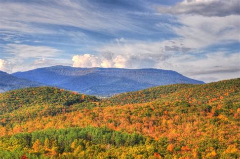 west virginia fall foliage  roveme