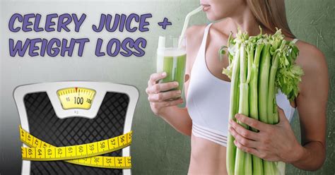 Celery Juice And Weight Loss Does It Work Easy Recipe