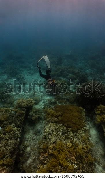 Sexy Girl Wearing Bikini Freediving Down Stock Photo 1500992453 Shutterstock