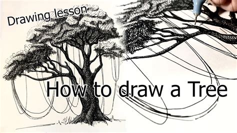 How To Draw A Tree Drawing Tutorial Youtube