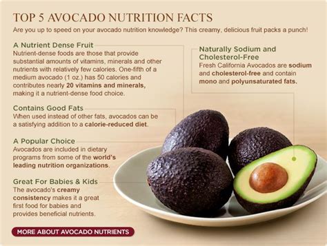 Avocado Nutrition Facts And Health Benefits California Avocado Avocado Nutrition Avocado