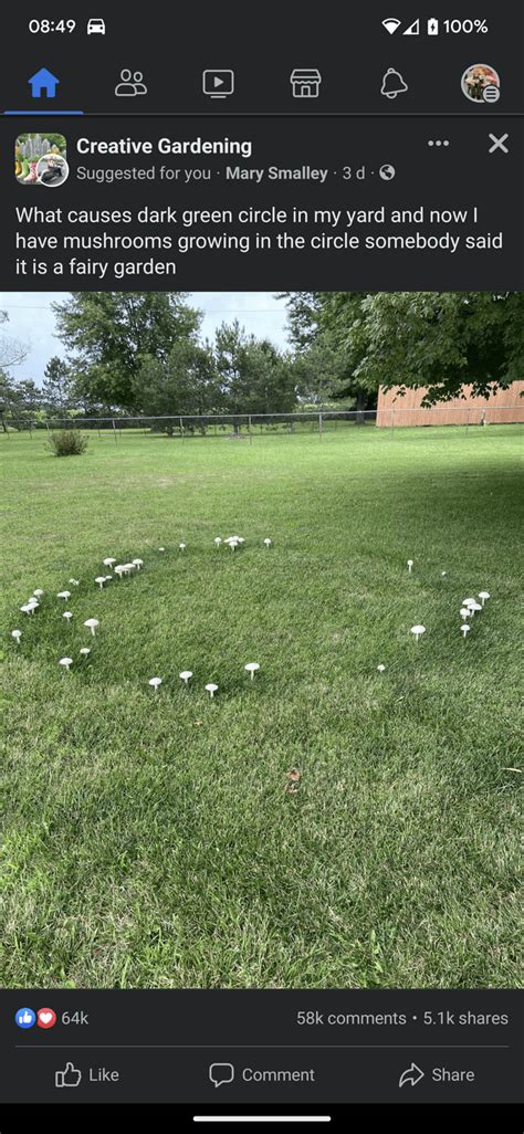 Never knew these were real : r/2007scape