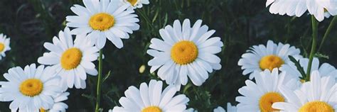 Кулон "Я тебя люблю" | «Я тебя люблю» на 100 языках мира Кулон со ...