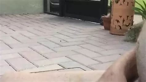 Naked In The Yard Gay Masturbation Masturbation Porn Feat Uncle Steve Xhamster