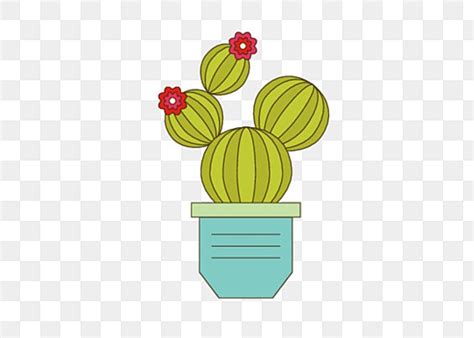 Hand Drawn Cactus Vector Art PNG Cartoon Hand Drawn Cactus Vector